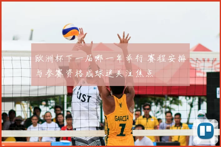 欧洲杯下一届哪一年举行 赛程安排与参赛资格成球迷关注焦点