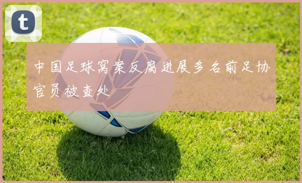 中国足球窝案反腐进展多名前足协官员被查处
