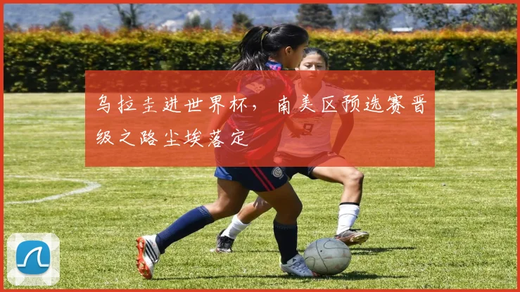 乌拉圭进世界杯,南美区预选赛晋级之路尘埃落定